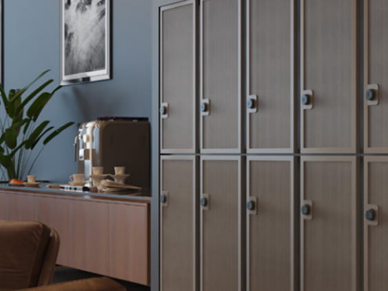 Echo Lock användning